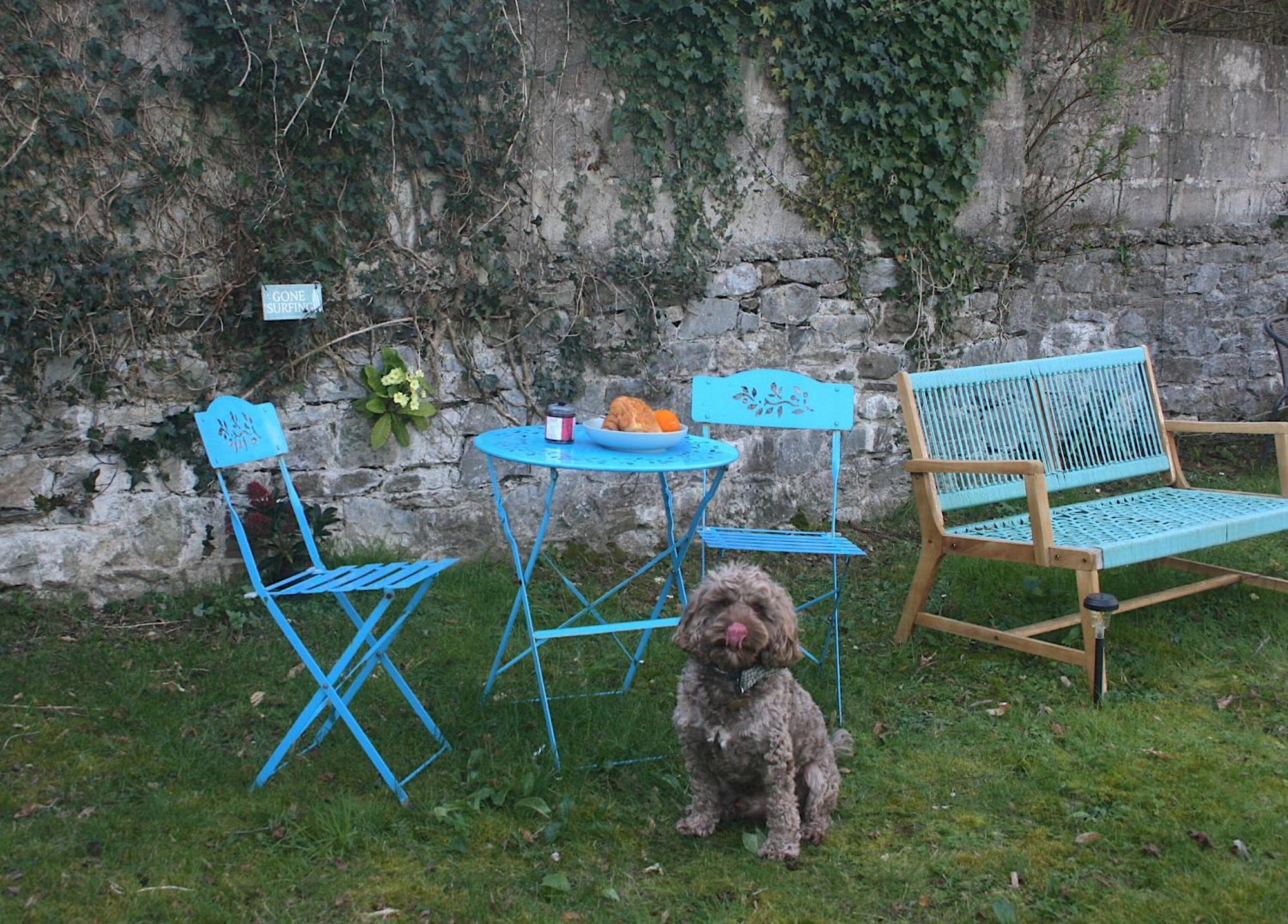 The Luxury Dartmoor Den, Dartmoor, Devon Apartment Ashburton